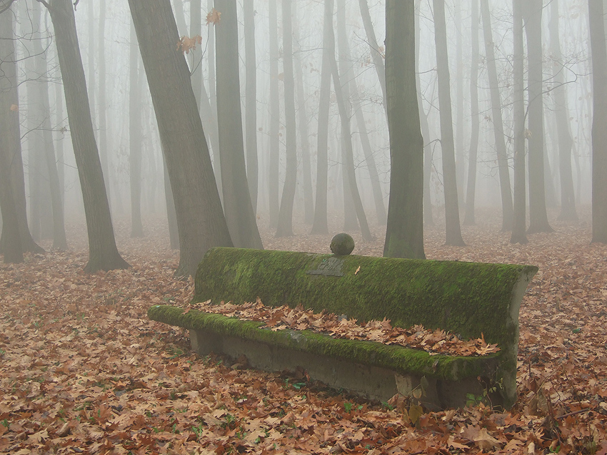 Przechodniu ...przysiądż i nad losem podumaj