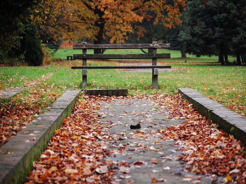 Park Śląski