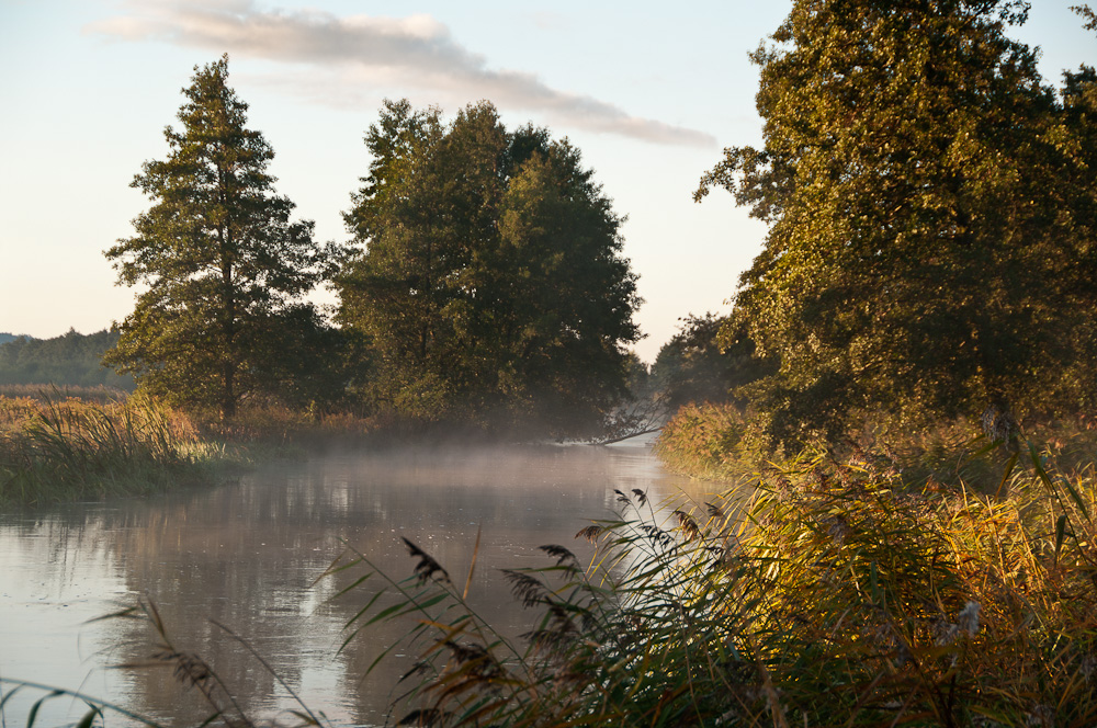 Poranek nad rzeką Łupawą