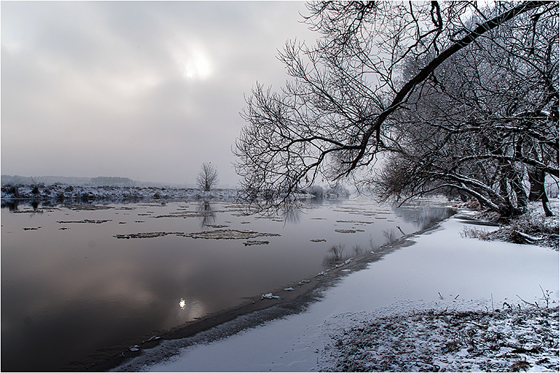 Narew