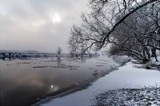 Narew