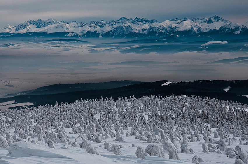 Tatry z Pilska