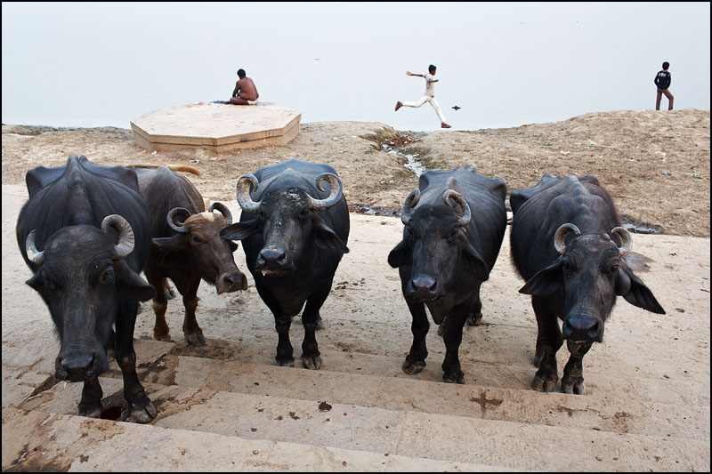 Varanasi