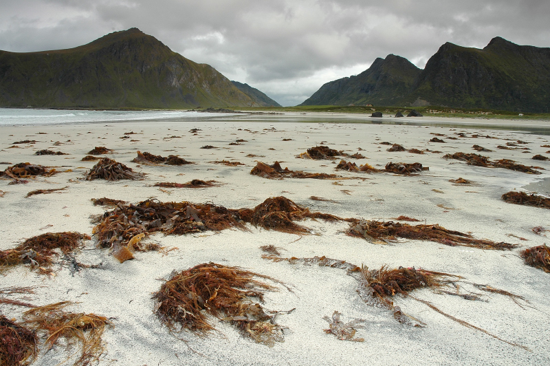 Lofoten3