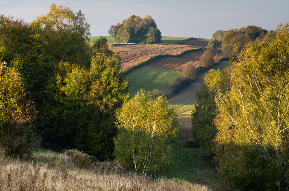 Październik