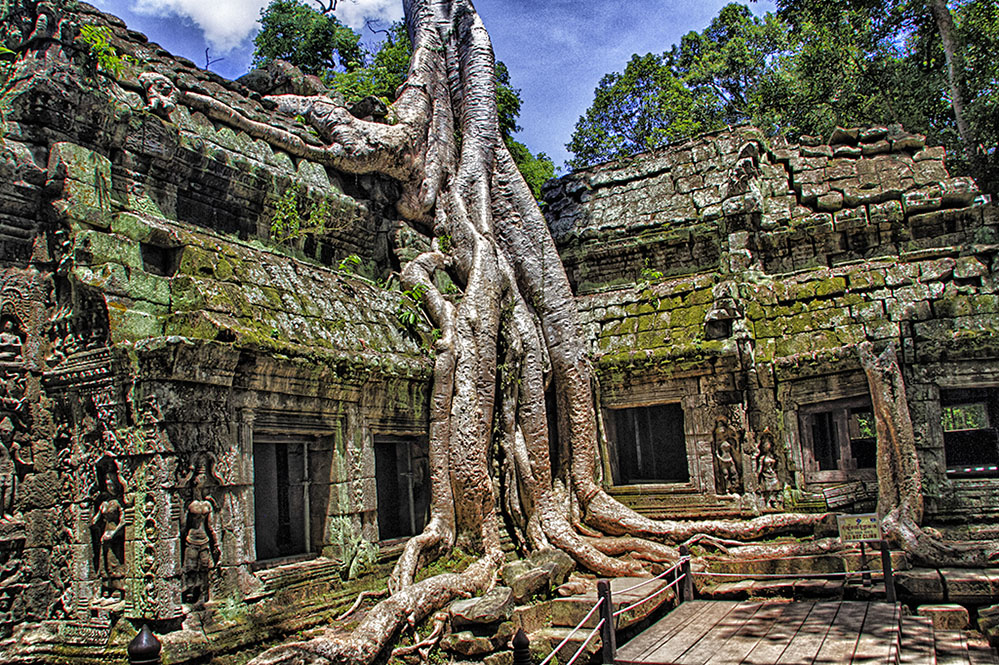 Ta Prohm - Tomb Raider