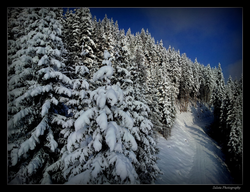 Zell am See