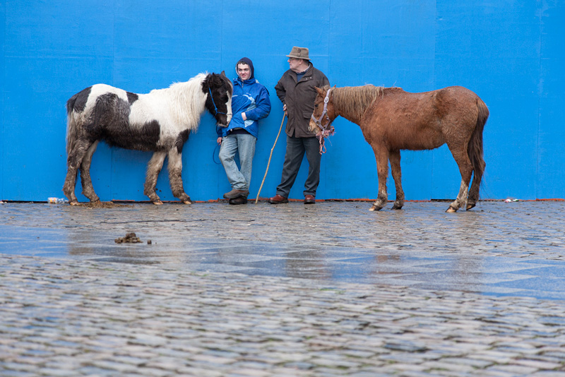 Dublin Horse Market