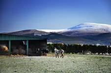 Slievenamon