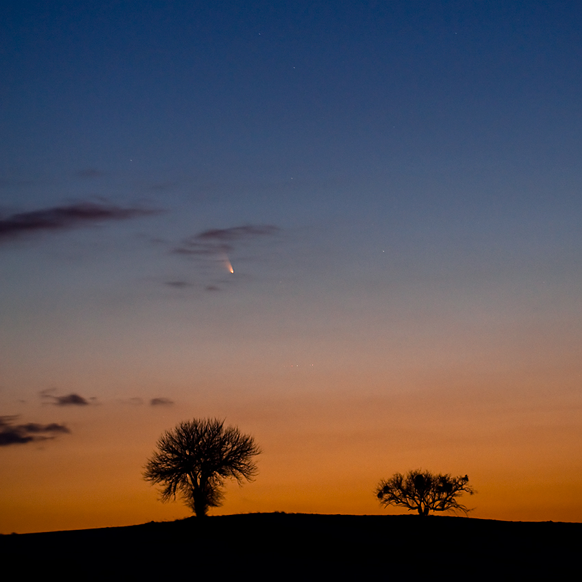 "Międzyplanetarni tułacze III - kometa PanSTARRS"