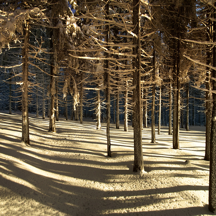 Beskid Śląski