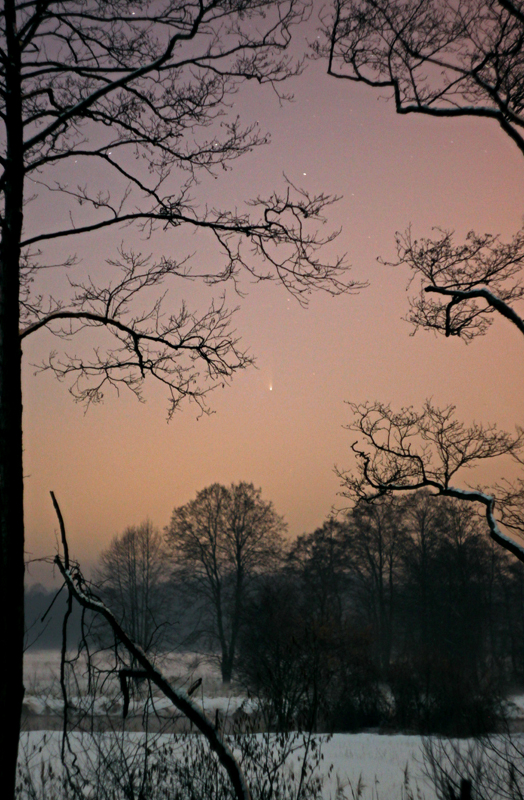 Kometa PanSTARRS