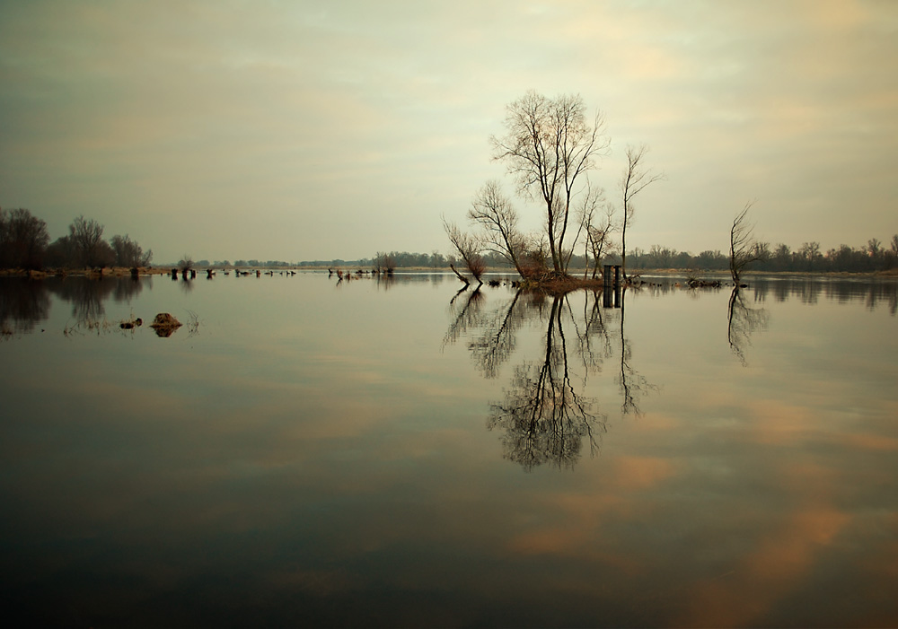 Odra okolice Kaleńska