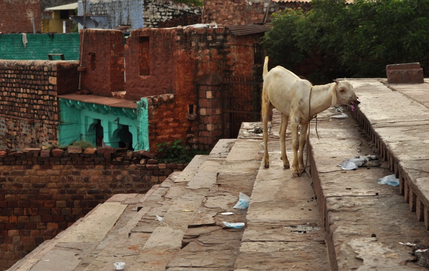 schody meczetu Fatehpur Sikri