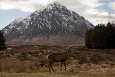 west highland way