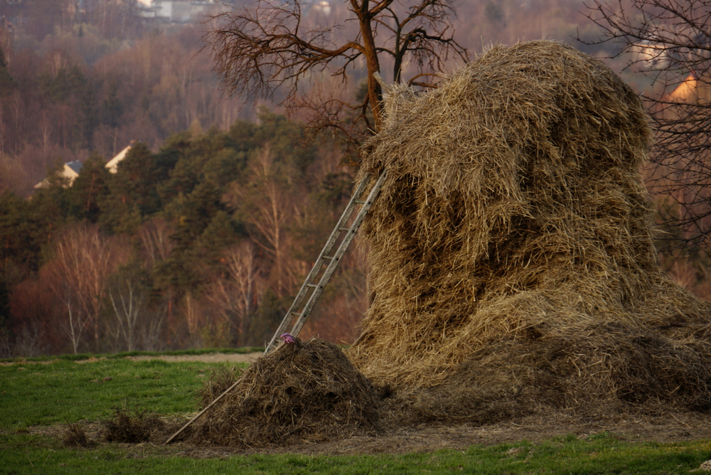 wiosenne porządki