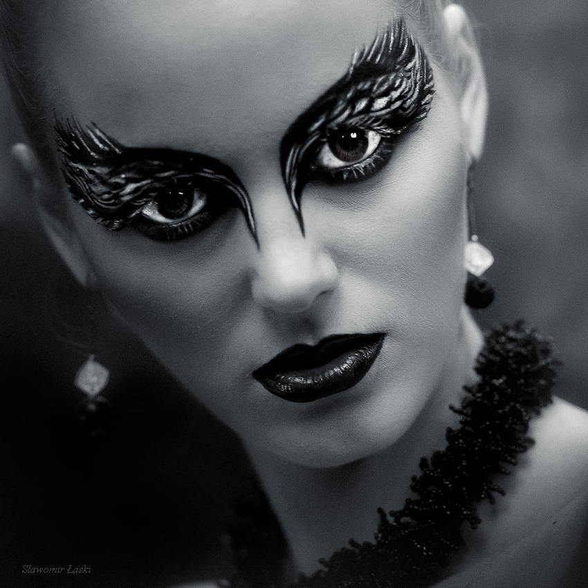 Black swan