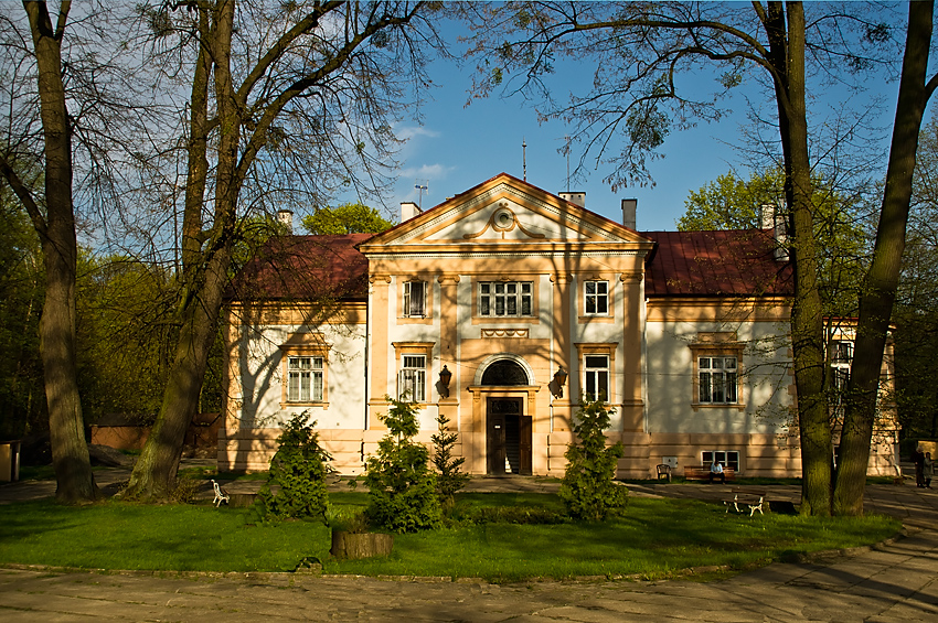 Pałac w Lisowicach