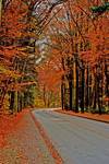 Autumn road