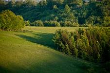 South Downs - Arundel