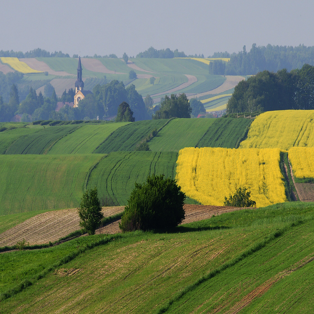 Chrzanów