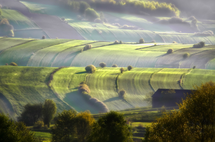 Wstaje dzień nad Roztoczem