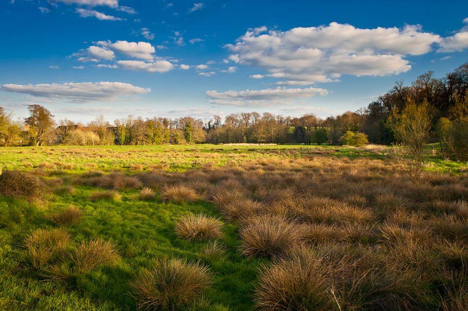 Cowdray Midhurst