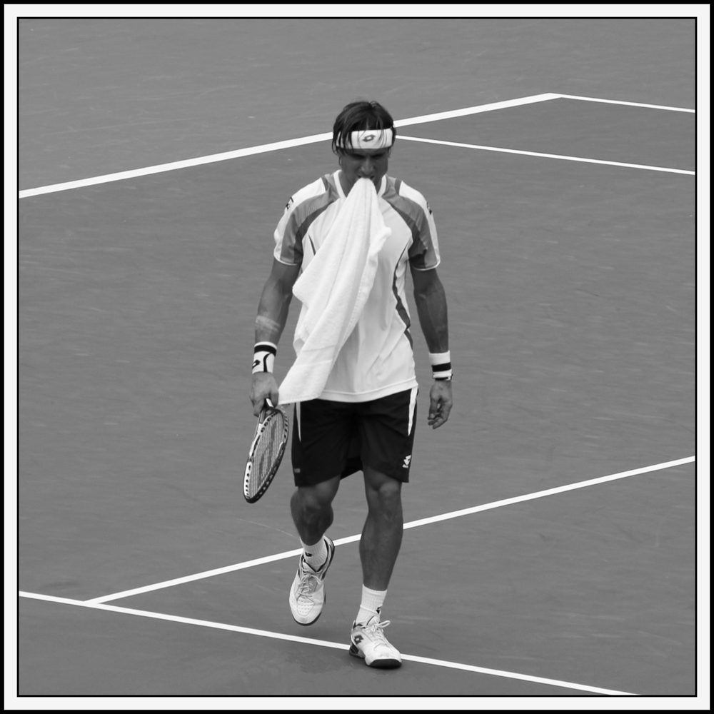 David Ferrer