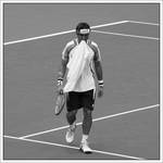 David Ferrer