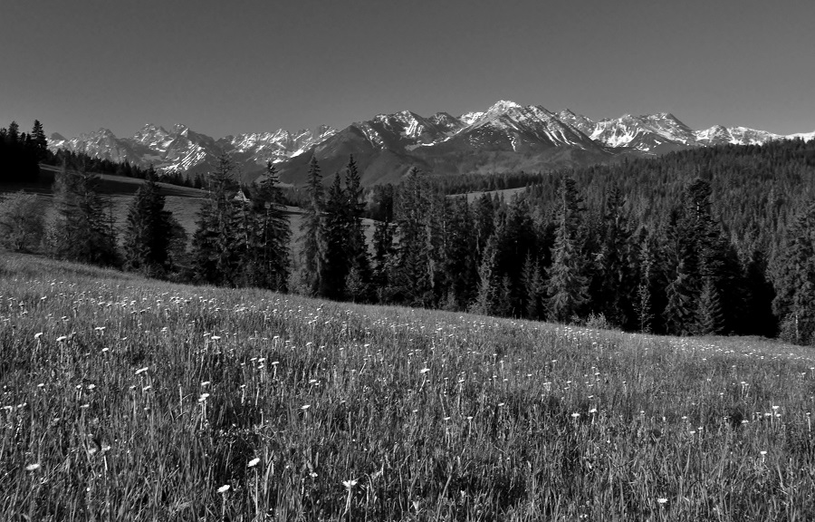 TATRY-CD