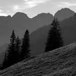 Tatry