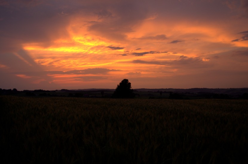 Pożar nieba