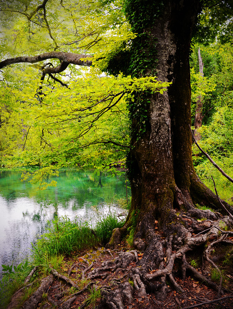 plitvice