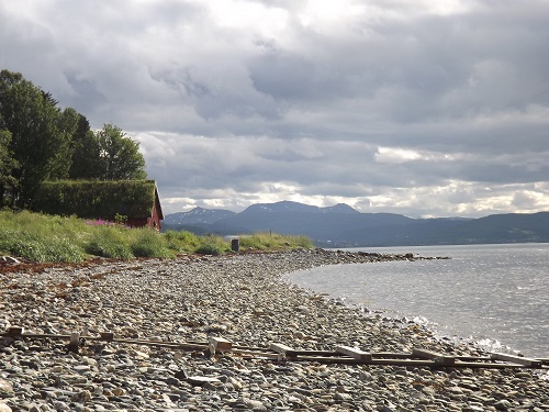 Plaża nad fjordem