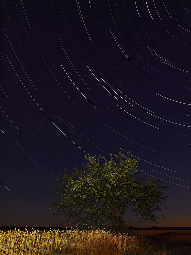 Star Trails