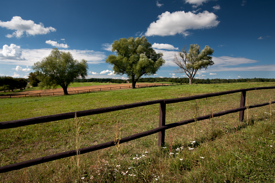 okolice Bartoszyc