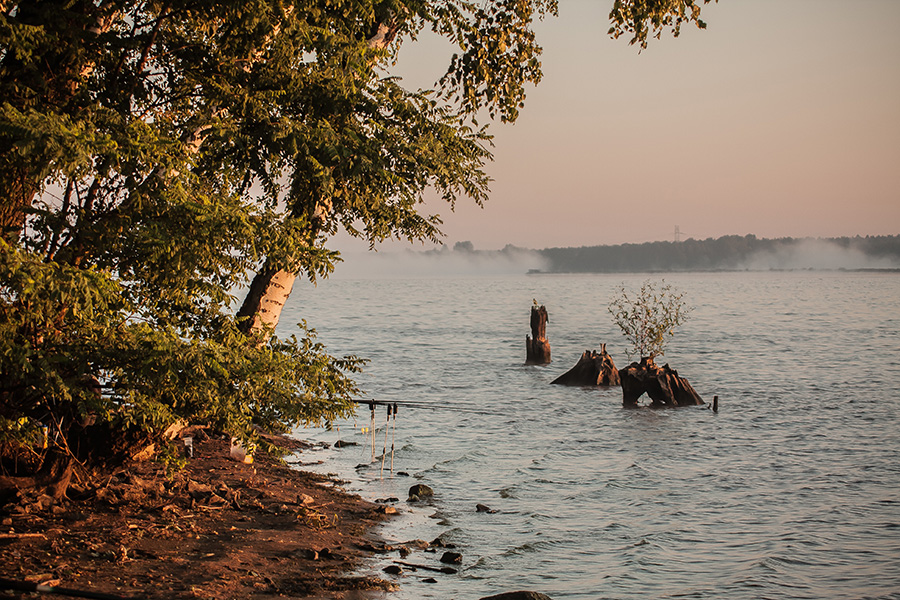 Poranek nad zalewem