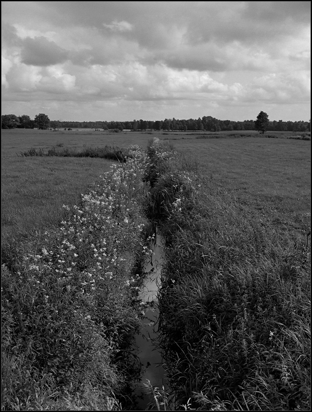 kiepsko przeprowadzona konwersja do BW