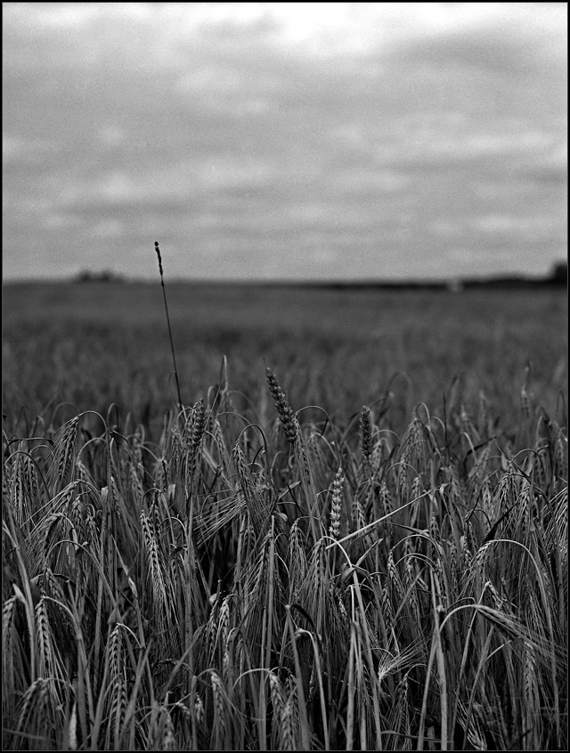 kiepsko przeprowadzona konwersja do BW