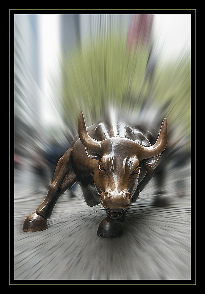 bull market...