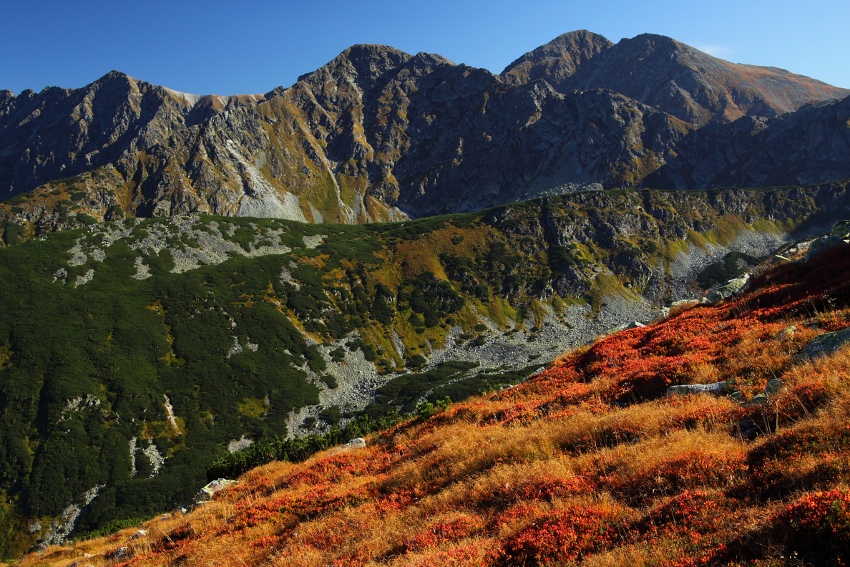 Tatry Zachodnie