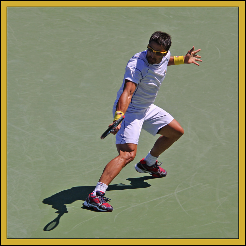 Janko Tipsarevic