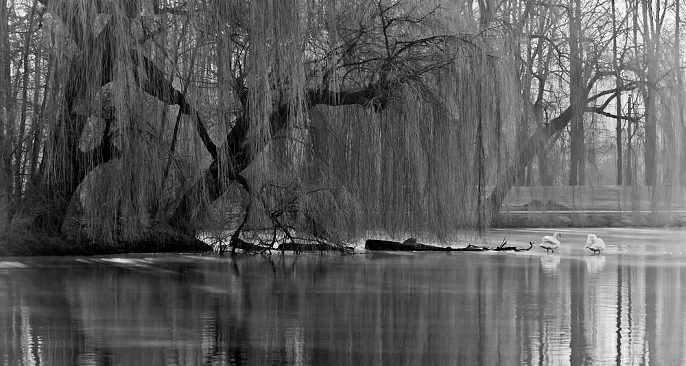 Mała Melancholia