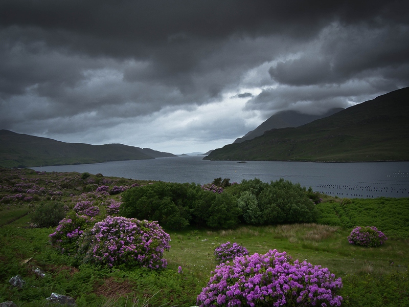 Killary Fjord