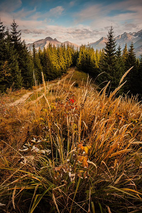 Tatry 3