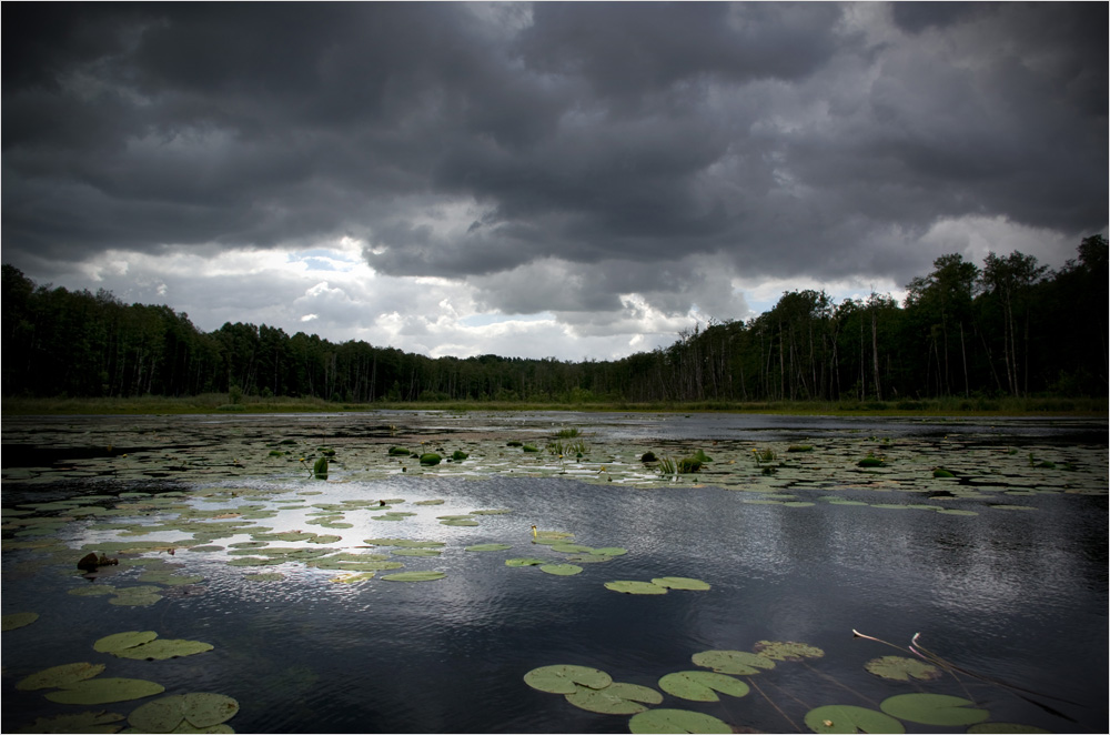 Grążele