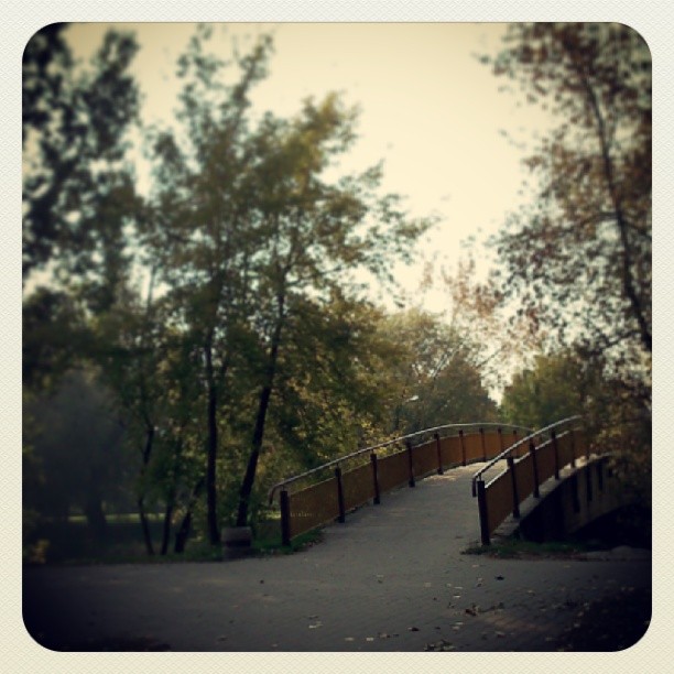 przejście na drugą stronę...park