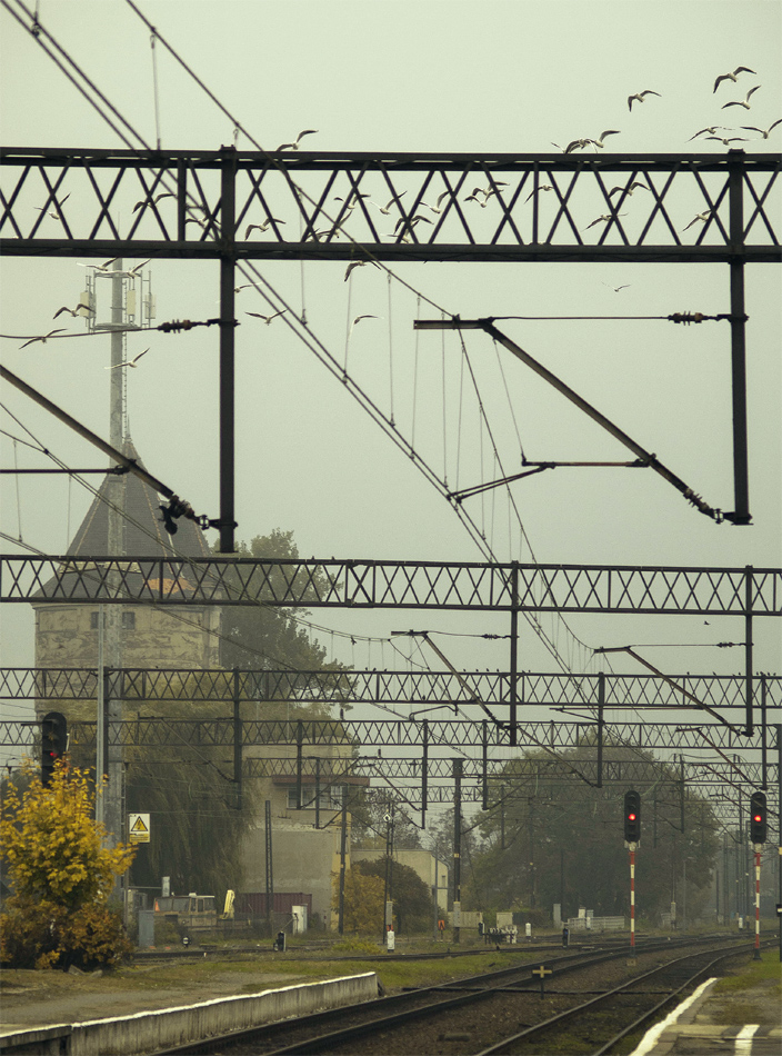 Alternatywy pomiędzy wolnością a poczuciem bezpieczeństwa