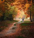 Walk to autumn