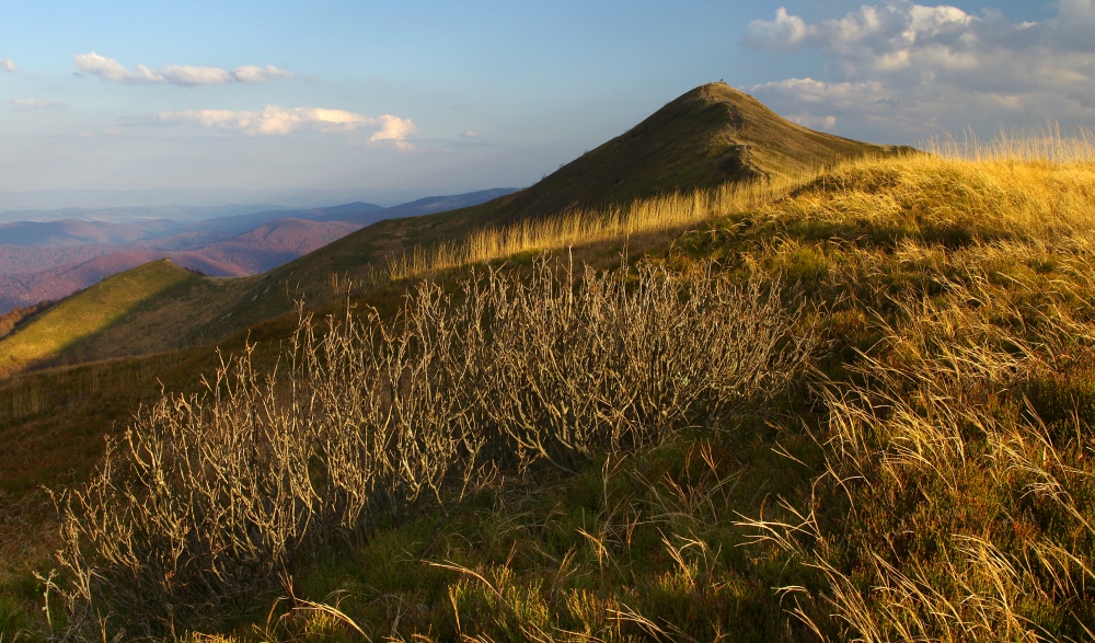 Bieszczady...